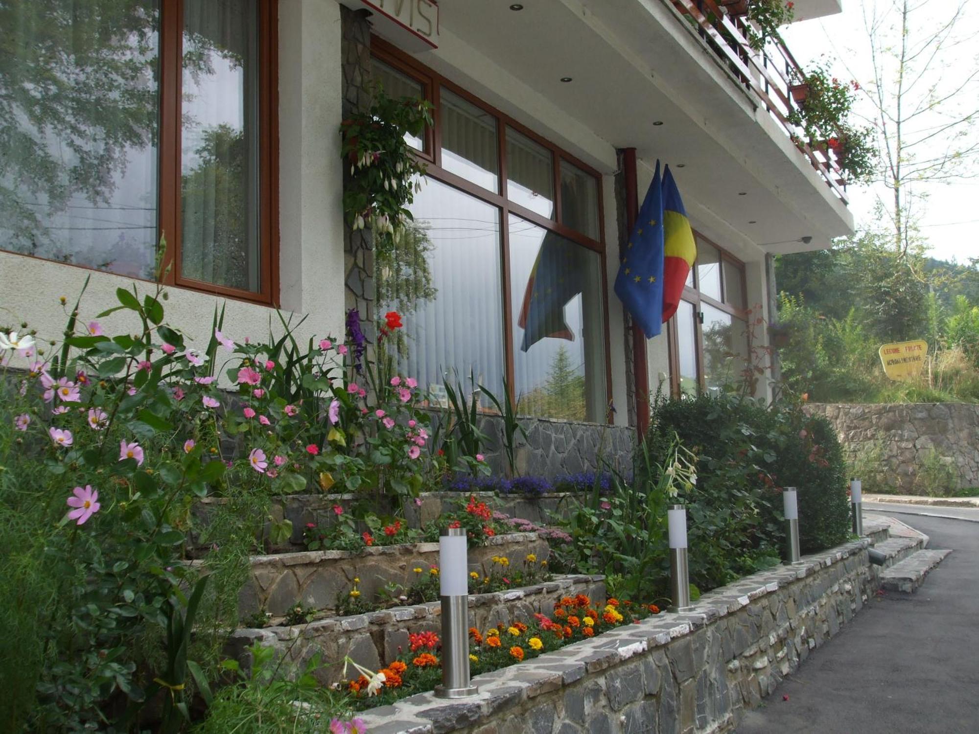 Vila Ana-Maria Hotel Sinaia Exterior foto
